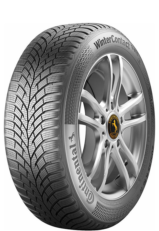Wintercontact ts870